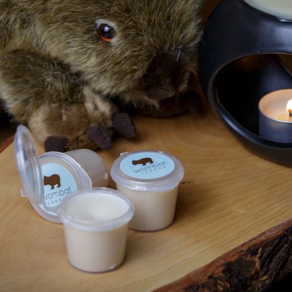 Scented melt shot-pots